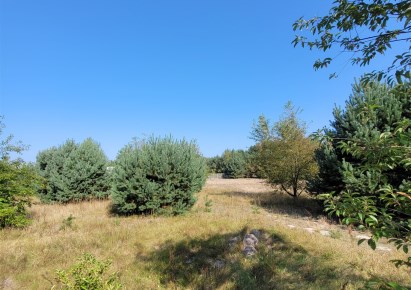 działka na sprzedaż - Włocławek (gw), Kosinowo